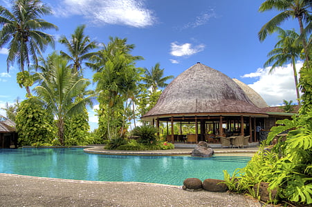 swimming pool at resort with coconut trees thumbnail