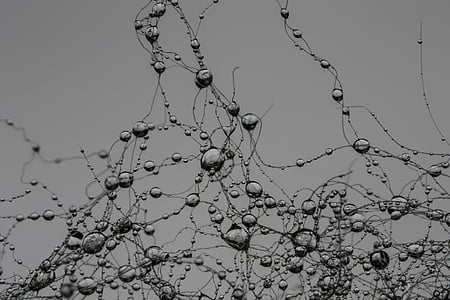 drop, network, synapse, pearl, gray, raindrop thumbnail