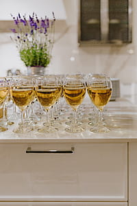 Many glasses of different wine thumbnail