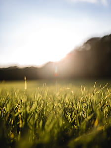green grass field under blue sky thumbnail