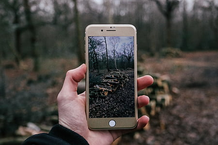 person using iPhone taking pile of firewoods photo thumbnail