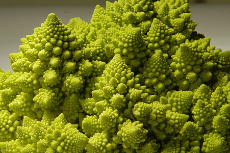close up photography of Romanian broccoli thumbnail