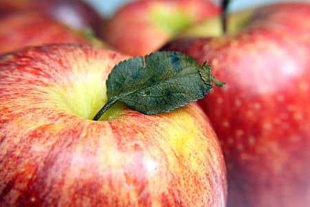 closeup photo of red apple fruit thumbnail
