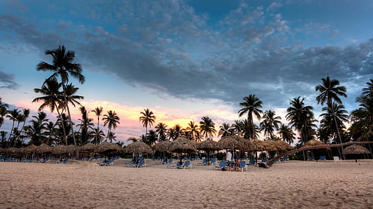 Nipa Hat Surrounded With Palm Trees Under White Clouds and Blue Skies Under Orange Sunset thumbnail