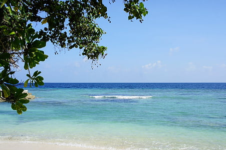 calm body of water under blue sky thumbnail