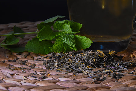 green leaves near glass bottle thumbnail