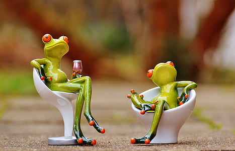 two frogs sitting on white chairs thumbnail