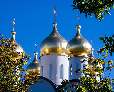 architectural photography of white and brown cathedral thumbnail