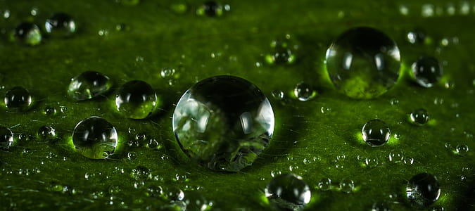 micro photo of dew drops on leaf thumbnail
