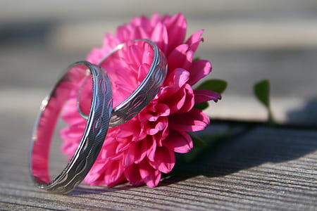 pair of silver-colored wedding band and pink chrysanthemum flower thumbnail