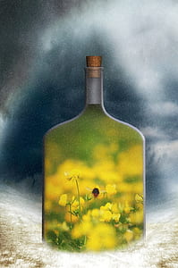 yellow petaled flower and bottle painting thumbnail