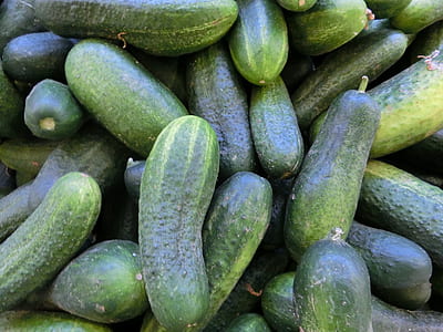 green cucumber vegetable lot thumbnail