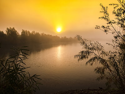 forest near body of water thumbnail
