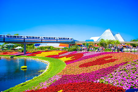 assorted-color flower field forming Mickey Mouse head beside body of water near white concrete building under blue sky thumbnail