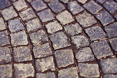 closeup photo of gray concrete stepping stones on ground thumbnail