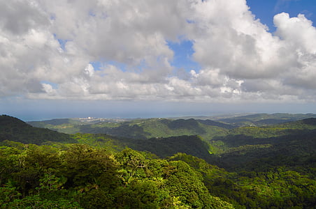 mountain with tree under white clouds thumbnail
