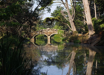 white concrete bridge thumbnail