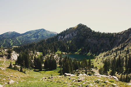 tree, rock, and grass covered field near the lake during day thumbnail
