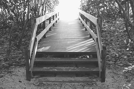 wood, landscape, bridge, trees thumbnail