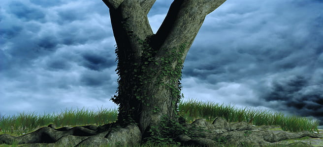 green and brown tree graphic photo thumbnail