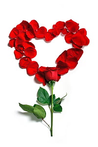 red rose heart shape decor thumbnail