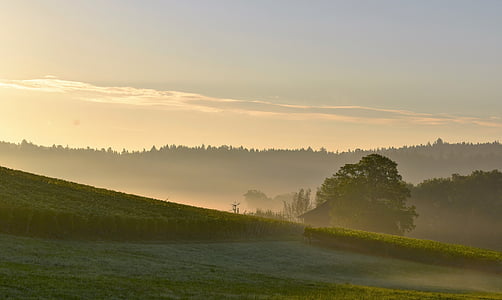 green grass field near mountains under white and gray sky at golden hour thumbnail