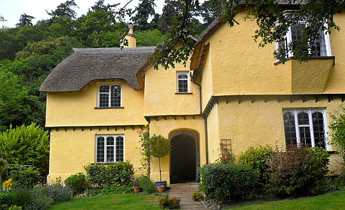 house beside trees thumbnail