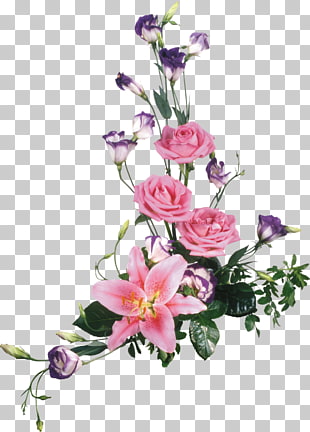 627 Flore Png Cliparts For Free Download Uihere