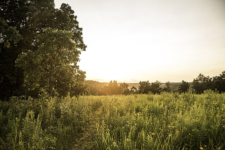 Golden Sunset over the hiking path at Cross Plains State Park thumbnail