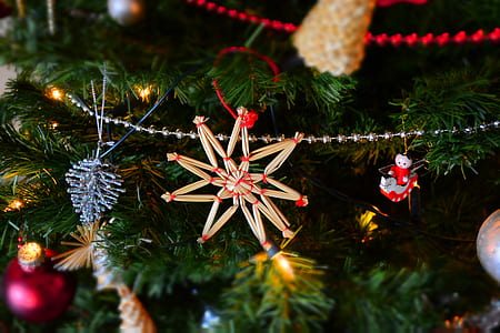Close-up of Christmas Tree at Night thumbnail