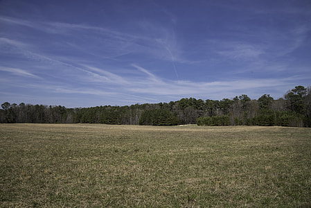 Landscape near Surrender Field in Yorktown, Virginia thumbnail