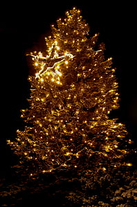 lighted green christmas tree thumbnail