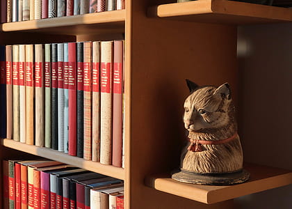 bookcase filled with books and cat sculpture thumbnail