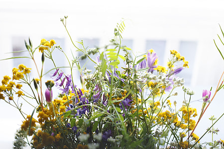 bed of flowers thumbnail