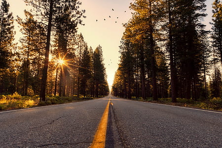 road, dawn, landscape, nature thumbnail