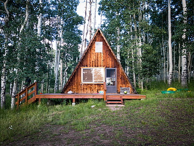 brown wooden cabin surrounded by trees thumbnail