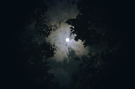 groundshot of moon during nighttime thumbnail