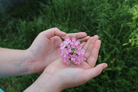 The Flower On The Palm Of Your Hand thumbnail