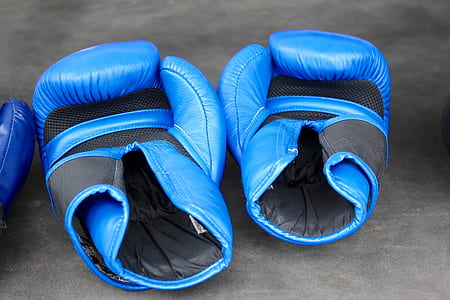 pair of blue boxing gloves thumbnail