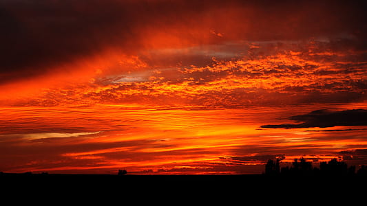 landscape photo of golden hour field thumbnail