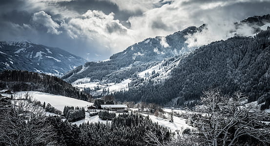bird's-view photo of forest surrounded by snow thumbnail