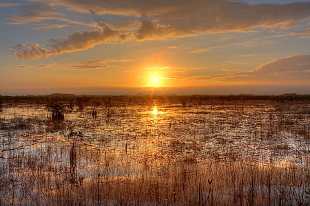 photo of brown grass field filled with water during golden hour thumbnail
