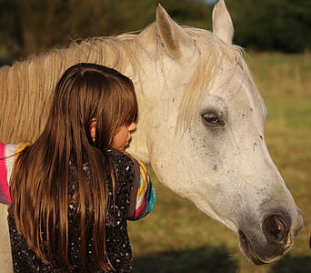 female embracing white horse during daytime thumbnail