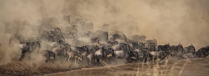 River Crossing thumbnail
