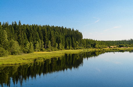 lake surrounded by trees nature photography thumbnail