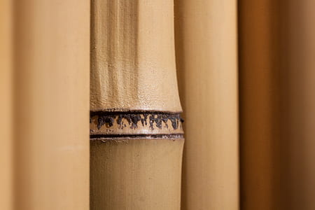 bamboo sticks thumbnail