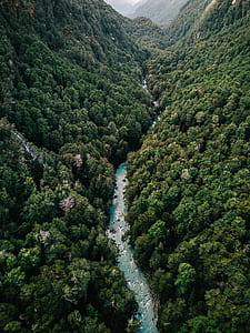 river between green trees and mountains in aerial photography thumbnail