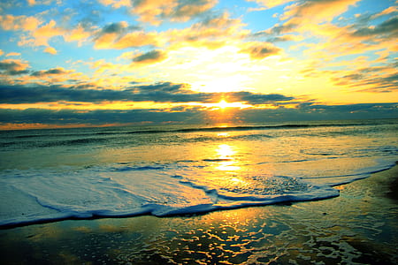 seashore during golden hour thumbnail