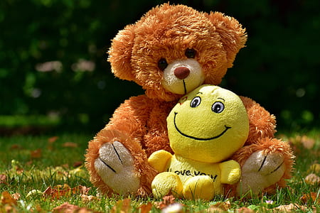 brown bear plush toy sitting on grass field thumbnail