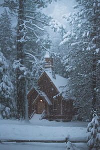 brown house surrounded with trees covered with snow thumbnail